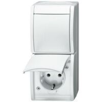 Busch-Jaeger AP KOMB STD+SCHAL (2601/6/20 EW-54)