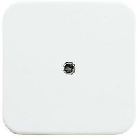 BUSCH JAEGER 1724-0-0921 - White - Busch-Jaeger - 54 mm - 54 mm - 1 pc(s)