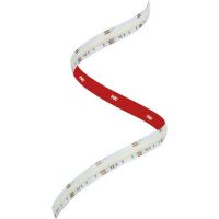 SmartLed LEDBAND 20W/M RGBW 1000LM/M 5M (S-COB COLOURFUL IP20)