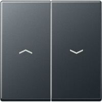 JUNG A 595 BF P ANM - Black