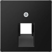 Jung ABD.F. IAE/UAE-ANSCHLUSSDOSE (A569-1BFPLUASWM)