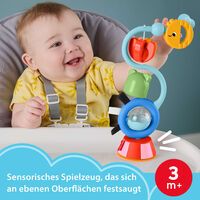 Mattel Fisher-Price Balanced Beginnings Suction Cup Toy