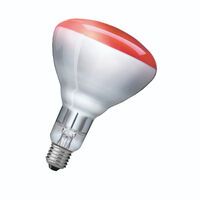 Philips 923212043801 - 250 W - Bulb - 5000 h - 230 - 250 V - 125 mm - 125 mm