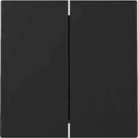 Gira WIPPE 2F SYSTEM 55 SCHWARZ M (3295005 SYSTEM 55)