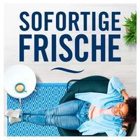 Febreze Lufterfrischer Spray Bodensee Beerenblüten 185 ml