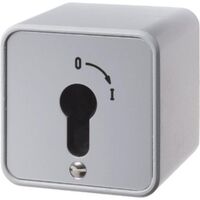 Hager SCHLÜSSELSCHALTER AP FÜR PROFI (WDE4466)