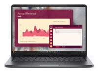 Dell Pro 14        PC14250 14"   U5-225U    16/512 WUXGA W11P (CHPPC)