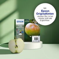 Epson Tintenpatrone schwarz DURABrite T 129           T 1291 Druckerpatronen