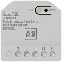 Jung JH PUCK SCHALTAKT. 1F E 2 BIN (BTPSE1B2U)