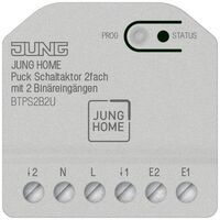 Jung JH PUCK SCHALTAKT. 2F 2 BIN (BTPS2B2U)