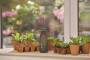 Gardena Softsprüher 0,45 L (11102-20)