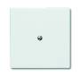 BUSCH JAEGER 2138-34 - White - IP 44 - 71 mm - 71 mm - 1.3 cm - 1 pc(s)