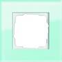 Gira RAHMEN 1-FACH ESPRIT (021118 GLAS  SYST.55)