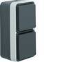 Berker SSD 2F SENKRECHT GRAU MATT W.1 (47703525)