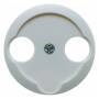 Berker 103920 - White - Duroplast - Glossy - Conventional - Berker - IP20