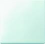 MERTEN 434119 - Buttons - White - Duroplast - 1 pc(s)