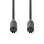 Nedis AUDIOKABEL   TOSLINK   5M  BOX (CABW25000AT50     SW)