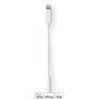 Nedis Lightning-Adapter / Apple Lightning 8-Pin / 3.5 mm Buchse / Vernickelt / 0.10 m / Rund / PVC