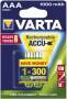 Varta 1x2 Professional NiMH 1000 mAh AAA - Rechargeable battery - Nickel-Metal Hydride (NiMH) - 1.2 V - 1000 mAh - Silver - 13 g