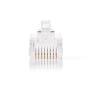 Nedis RJ45-Stecker / Stecker / Stranded UTP CAT5 / Gerade / Vergoldet / 10 Stück / PVC / Transparent / Box