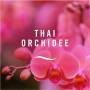 Febreze Textilerfrischer 375ML Thai Orchidee, Mit FrischeLuft-Technologie, entfernt Gerüche aus Ihren Textilien und hinterlässt einen Frischeduft