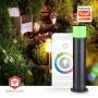 Nedis Smartlife-Außenleuchte / 360 lm / Zigbee 3.0 / 10 + 4 W / RGB / Warmweiss / 2700 K / Aluminium / Android™ / IOS
