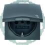 Berker 47441606 - Type F - Anthracite - Thermoplastic - IP20 - 250 V - 16 A