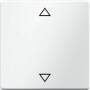 Berker Wippe m. Aufdruck Symbol P feile 16206079