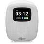 Sangean TISCHRADIO   M.   WECKFUNKTION (DCR-83            WS)