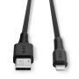 LINDY USB an Lightning Kabel schwarz 0.5m (31319)