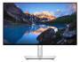 Dell U2422HE TFT-Monitore