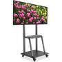 Manhattan TV & Monitor Mount - Trolley Stand - 1 screen - Screen Sizes: 37-100" - Black - VESA 200x200 to 800x600mm - Max 150kg - LFD - Lifetime Warranty - 170 kg - 94 cm (37") - 2.54 m (100") - 800 x 400 mm - Height adjustment - Black