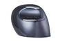 Evoluent Vertical Mouse D Right hand Large Wireless - Mouse - Laser