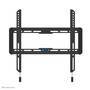 Neomounts by Newstar tv wall mount - 81.3 cm (32") - 165.1 cm (65") - 60 kg - 100 x 100 mm - 400 x 400 mm - Black