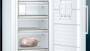 Siemens GEFRIERSCHRANK STAND NF   365L (GS58NAWDV         WS)