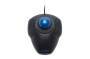 Kensington Orbit® Trackball with Scroll Ring - Ambidextrous - Optical - USB Type-A - Black