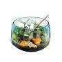 Clementoni Harry Potter - Terrarium