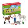 schleich® Farm World 42486 Arztbesuch bei Stute und Fohlen