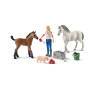 schleich® Farm World 42486 Arztbesuch bei Stute und Fohlen