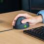 R-GO Tools R-Go Maus HE ergonomisch rechts USB       mittel  schw./silb retail (RGOHE)