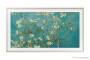 Samsung DEKORRAHMEN F.THE FRAME S/GOLD (VG-SCFC55SGMXC)