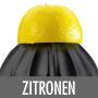 GASTROBACK Zitruspresse Home Culture 41138