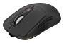 Genesis Gaming Maus ZIRCON 660 kabellos schwarz (NMG-2191)