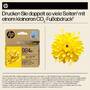 HP EvoMore 4K0U9NE Tintenpatrone yellow No. 924e Druckerpatronen