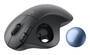 Logitech Wireless Mouse Ergo M575S Trackball graphite (910-007029)
