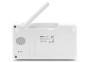 ALECTO Babyphone mit Kamera und 4.3' Farbdisplay DVM 2043