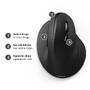 HAMA V-ERGO MAUS  KABELGEB  TAST SW (OFFICE-MAUS, KABELGE)