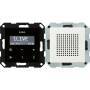 Gira UNTERPUTZ-RADIO RDS SYSTEM 55 (228027 RWS MATT)