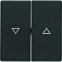 Berker 16256086 - Anthracite - 10 pc(s)
