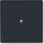 BUSCH JAEGER 2138-35 - Anthracite - IP 44 - 71 mm - 71 mm - 1.3 cm - 1 pc(s)
